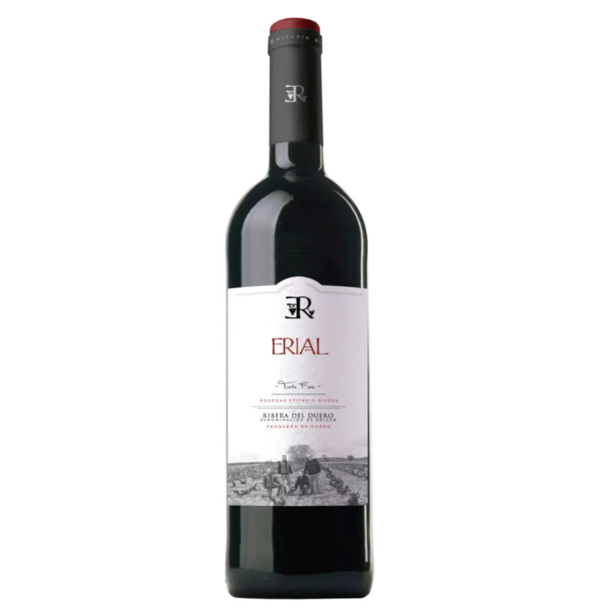 Bodegas Epifanio Rivera Bodegas Epifanio Rivera - Erial - Ribera del Duero