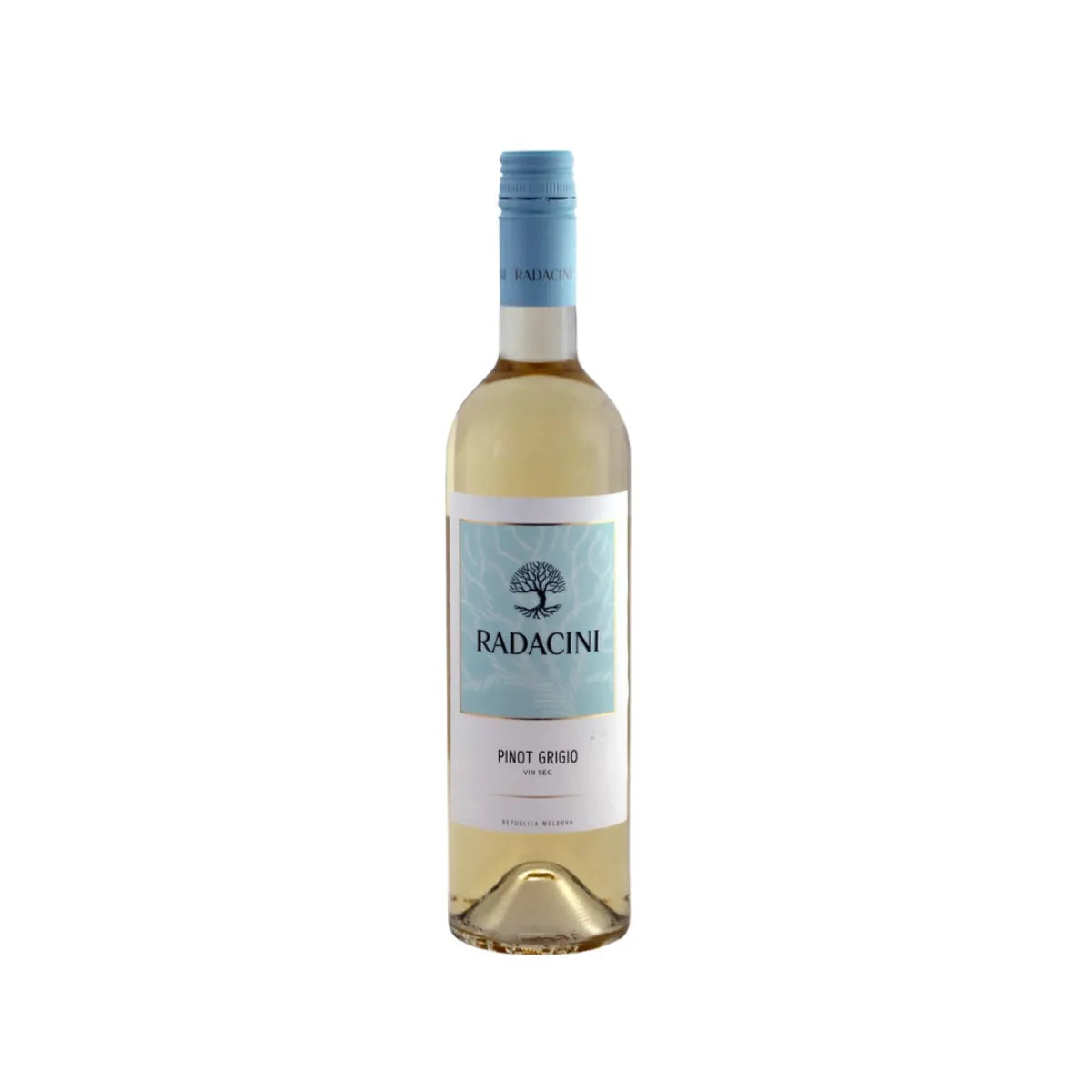 Radacini Radacini - Pinot Grigio - Codru