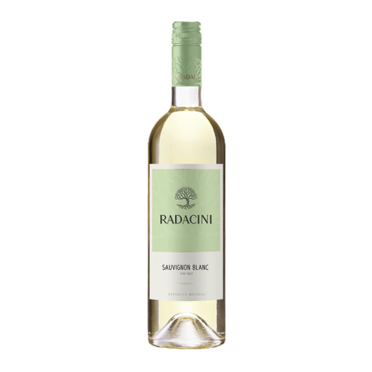 Radacini Radacini - Sauvignon Blanc - Codru