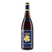 Vigna Vigna - Benjamin Cabernet Dorsa Barrique