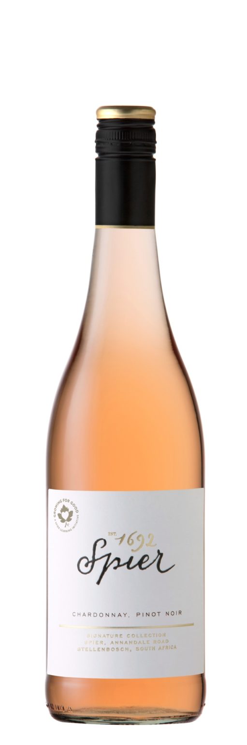 Шардоне розовое. Pinot Noir Rose 2019. Пино Шардоне. Вино. Вино Спиер сигнеэйче Шардоне белое сухое. Domain Edmond Vatan Wine.